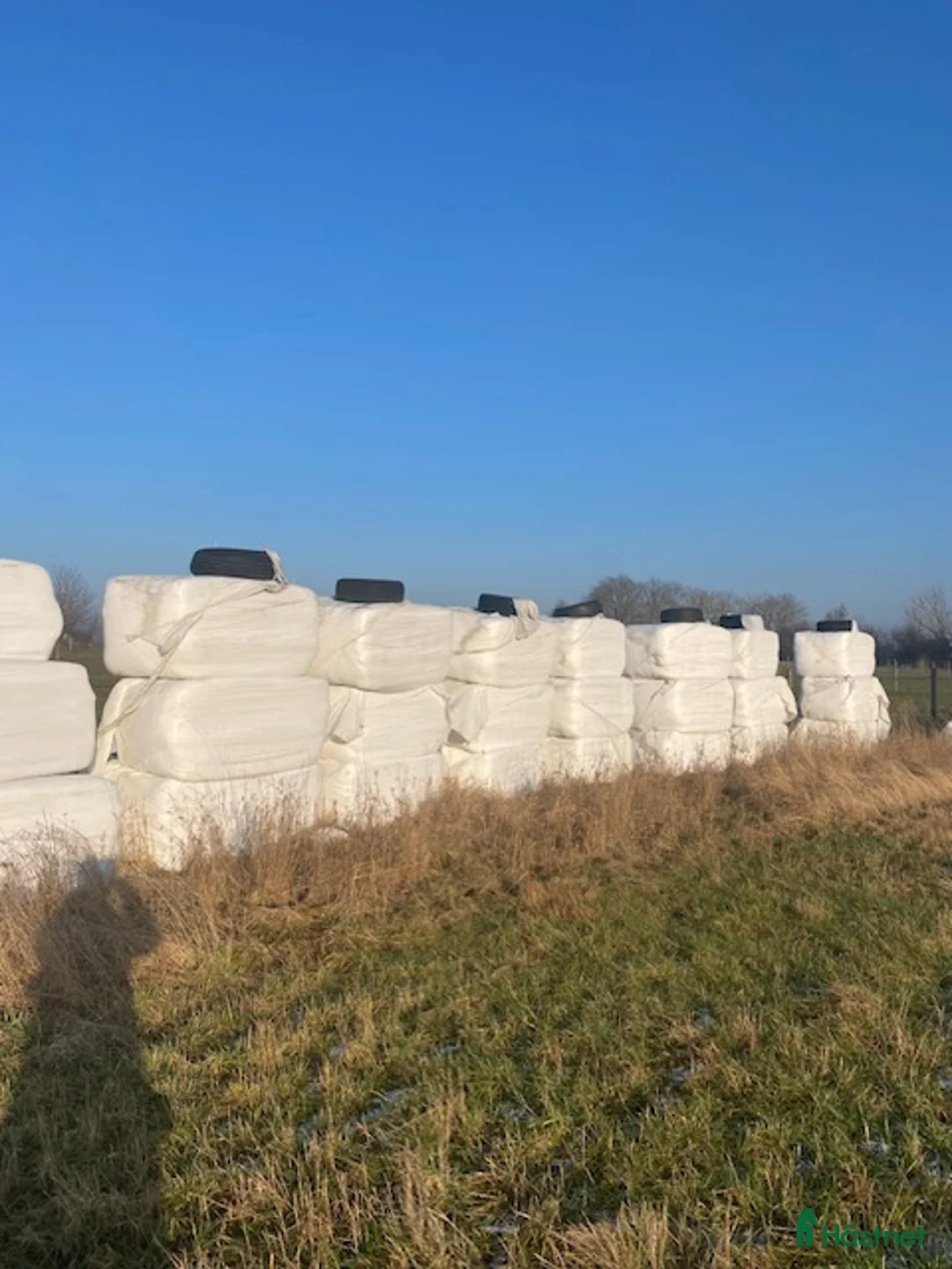 Övrig utrustning övrig utrustning till salu: hösilage 250 kg bal i Billeberga - Annons 1