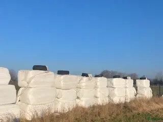 Övrig utrustning övrig utrustning till salu: hösilage 250 kg bal i Billeberga - Annons 17