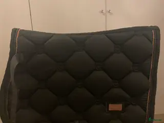 Schabrak & Vojlockar hästutrustning Schabrak säljes! i Frillesås - Annons 9