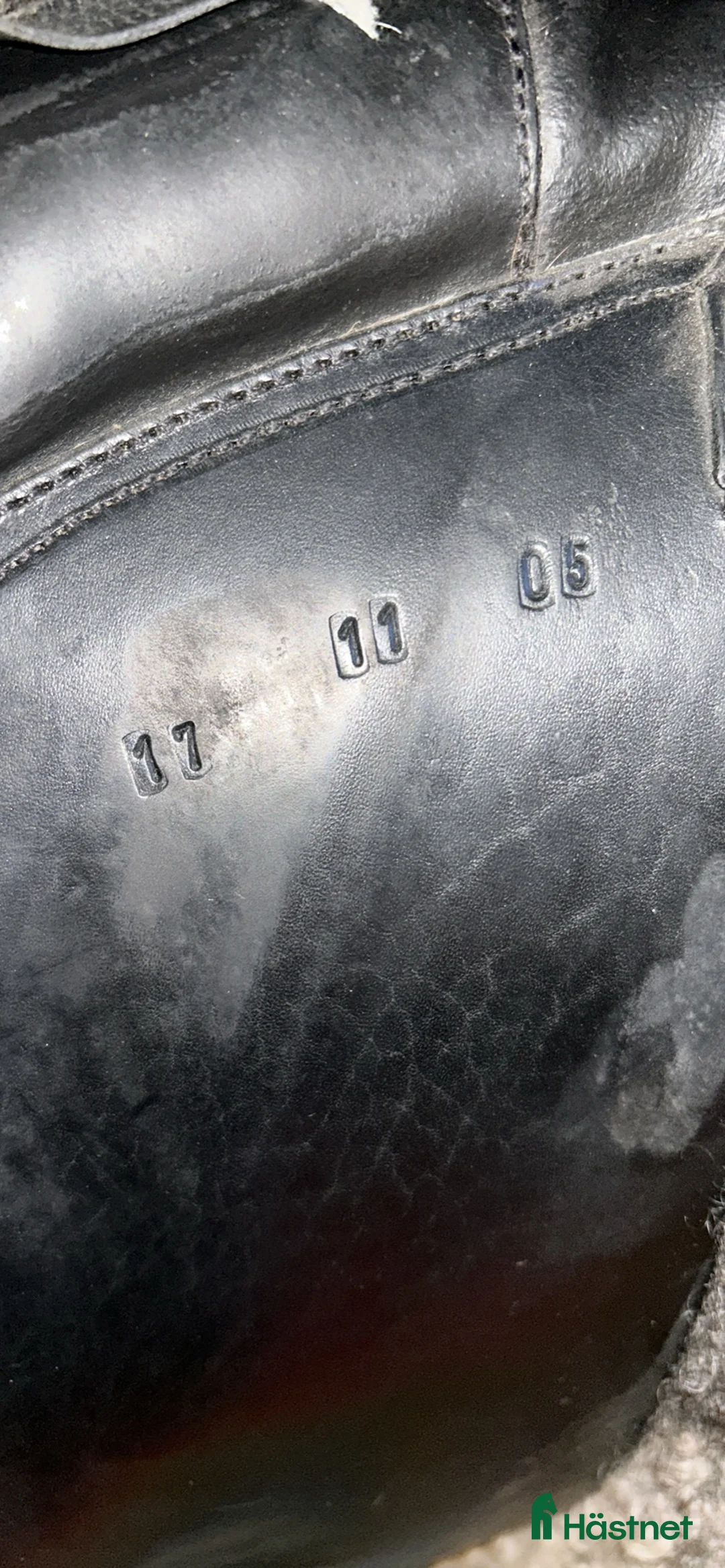 Sadlar hästutrustning till salu: Globus click - Annons 3
