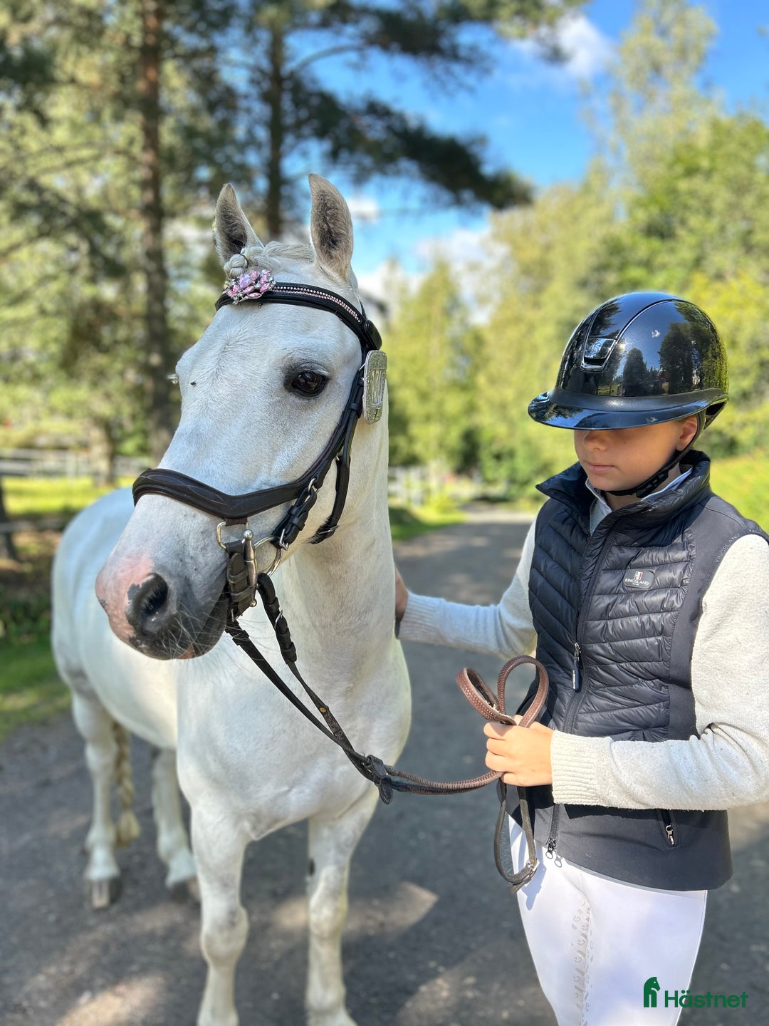 Hoppning hästar till salu: Härlig ponny OBS! Nytt pris. i Filipstad - Annons 5