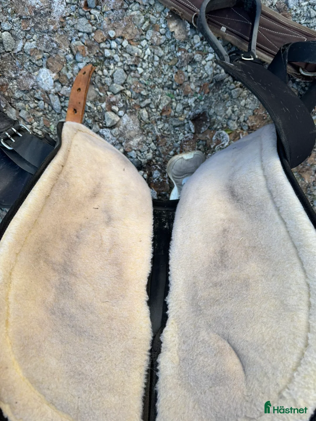 Sadlar hästutrustning till salu: Abetta sadel. i Stöde - Annons 3