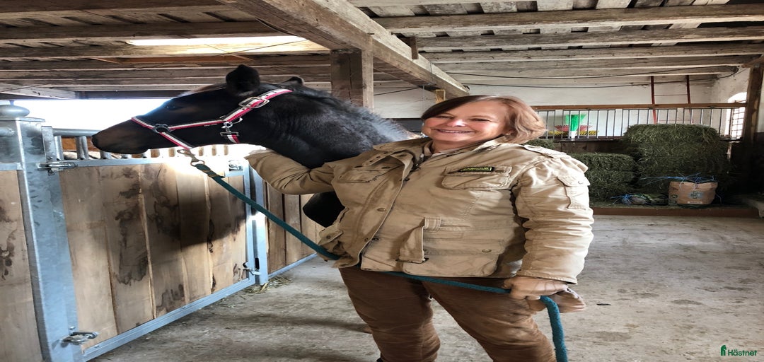 Galleribild {{count}}