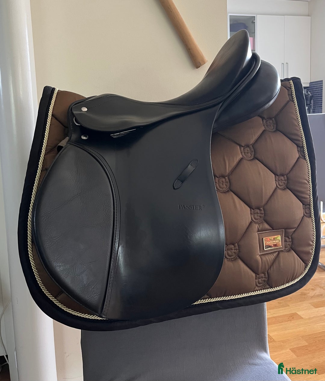 Sadlar hästutrustning till salu: Passier Young winner i Malmö - Annons 1