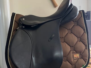 Sadlar hästutrustning till salu: Passier Young winner i Malmö - Annons 1