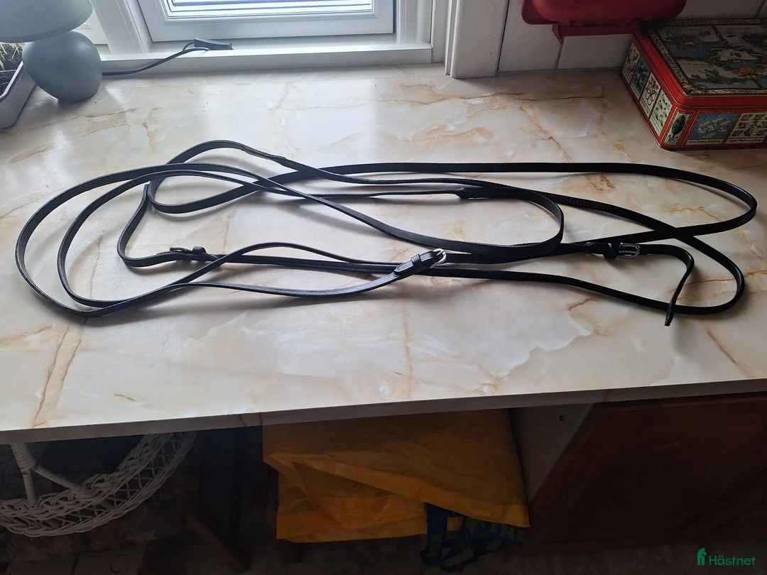 Körselar körning till salu: Bröstsele i Stallarholmen - Annons 5