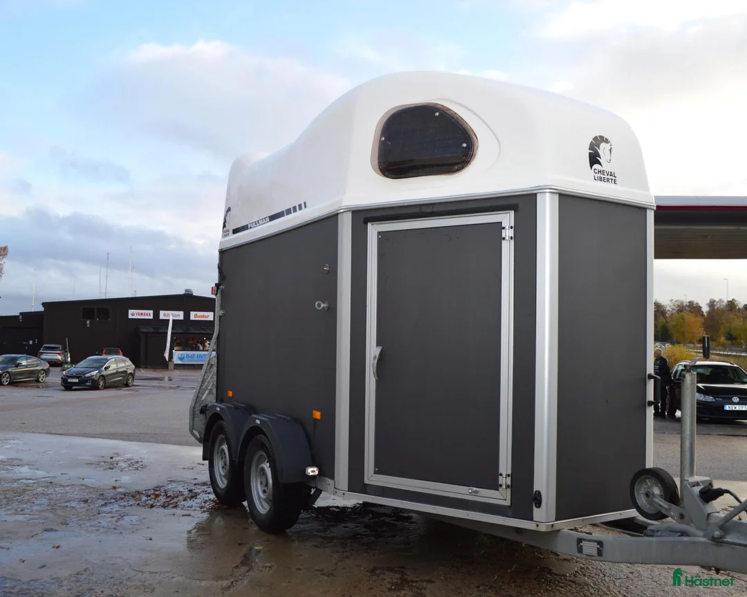 Hästtransporter  fordon & transport till salu: Cheval Gold 2020 Totalvikt 1300 kg Hästtransport - Annons 2