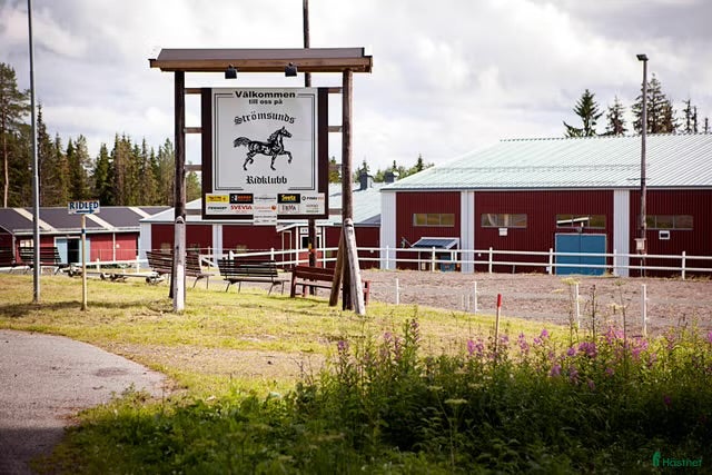  stallplats Lediga stallplatser på Strömsunds ridklubb - Annons 3