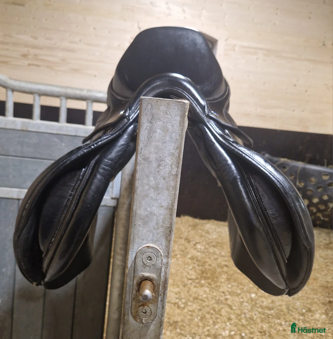 Sadlar hästutrustning till salu: Lippo hoppsadel  i Grästorp - Annons 2