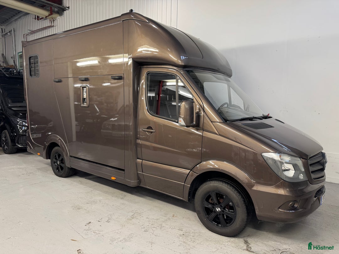 Hästlastbilar  fordon & transport till salu: Nybyggd Hästlastbil på Mercedes Sprinter 316 CDi i Partille - Annons 1