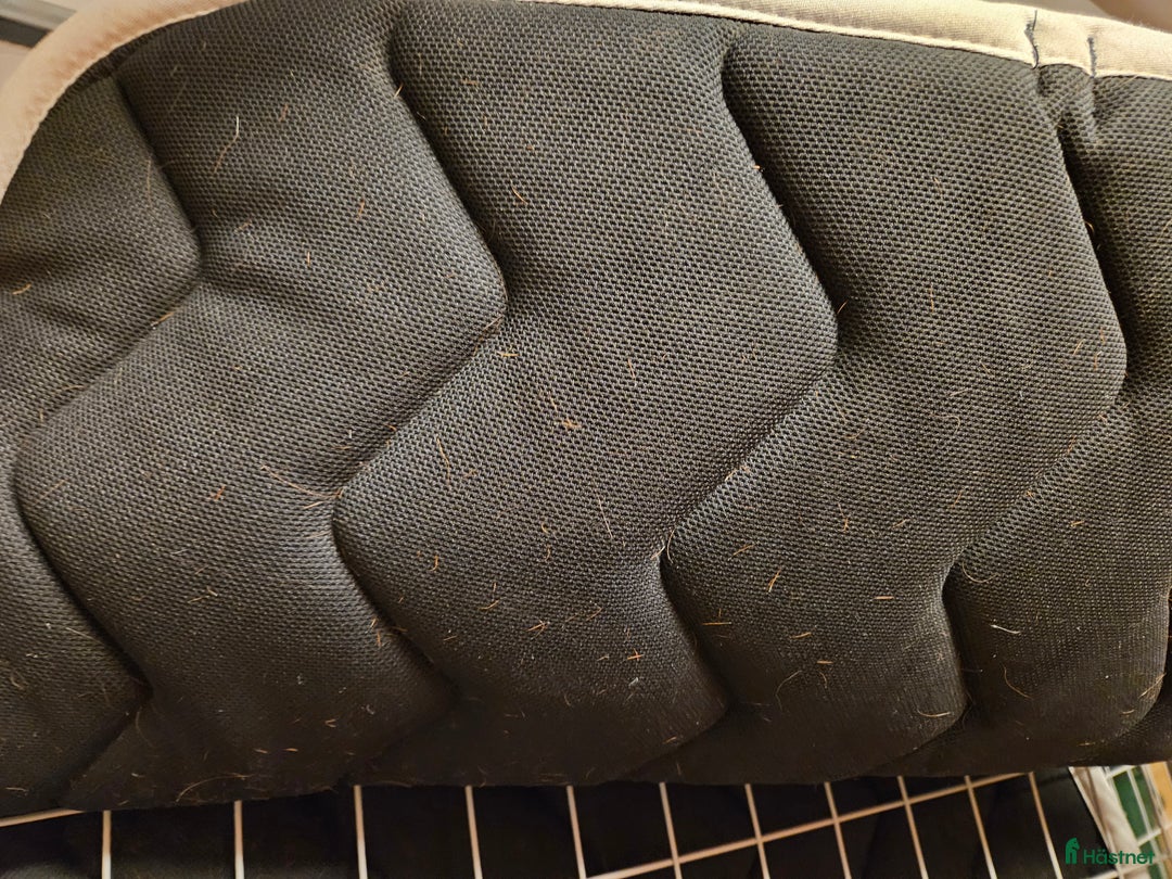 Schabrak & Vojlockar hästutrustning till salu: Flera schabrak säljes, olika märken i Lerum - Annons 12