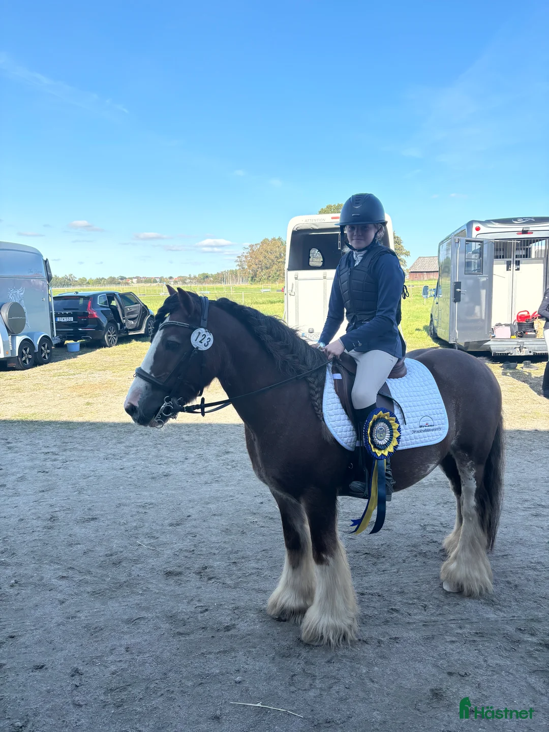 Allround hästar till salu: Ponny som stocker ut i mängden! i Vedum - Annons 5