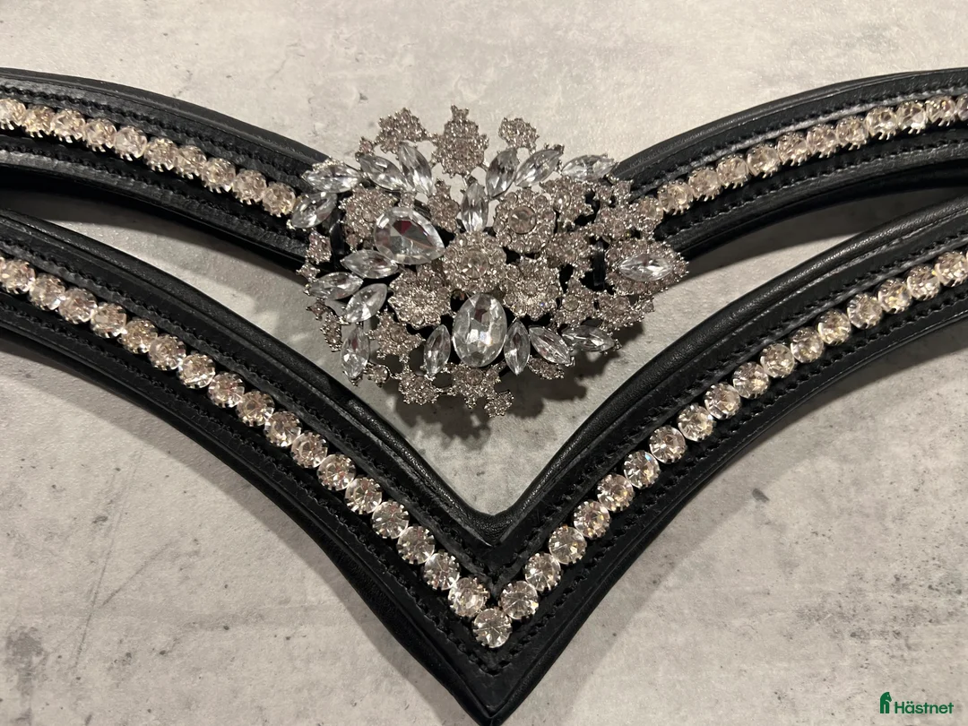 Träns hästutrustning till salu: Divoyh pannband modell Tryde silver i Falun - Annons 1