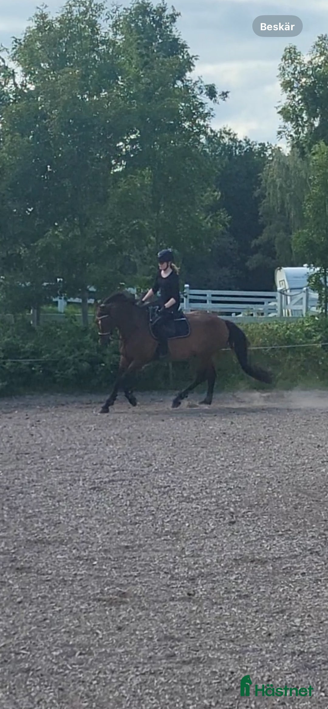 Galleribild {{count}}