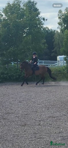 Galleribild {{count}}