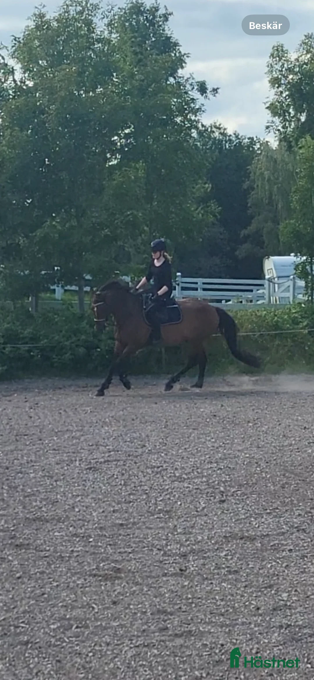 Galleribild {{count}}