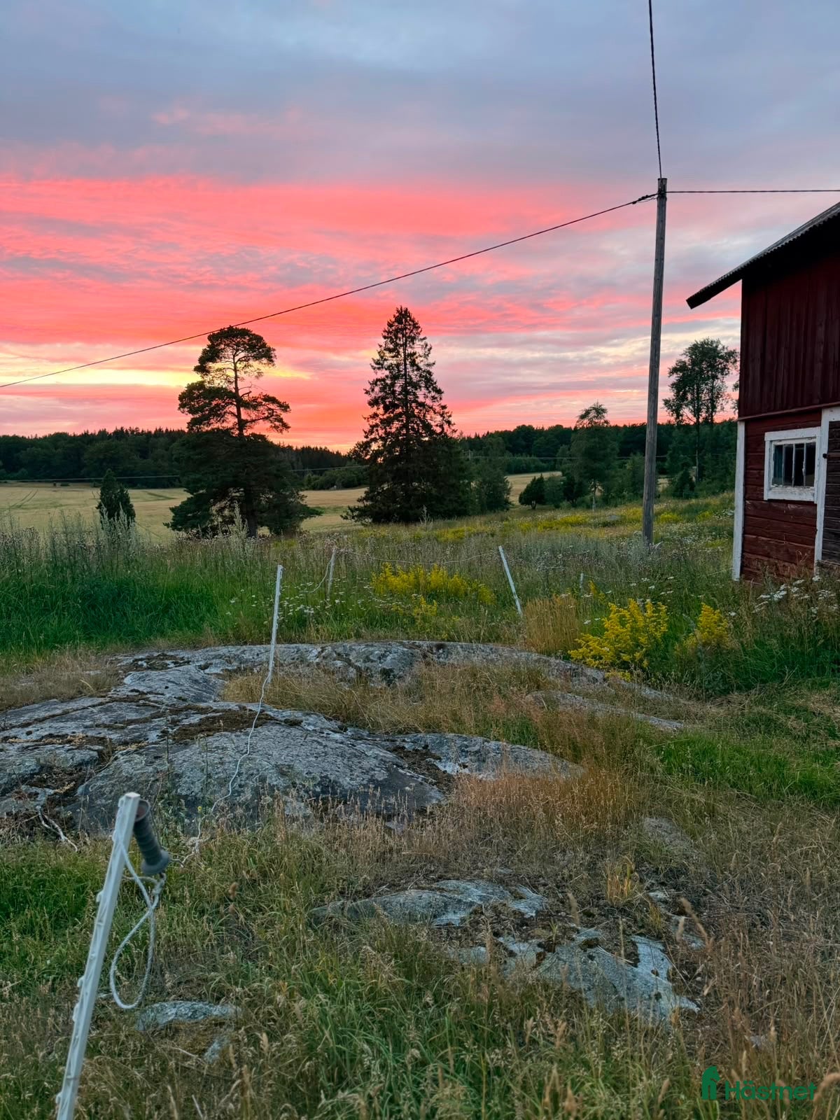  stallplats Lösdriftsplats för islandsvalacker- Vallentuna - Annons 9