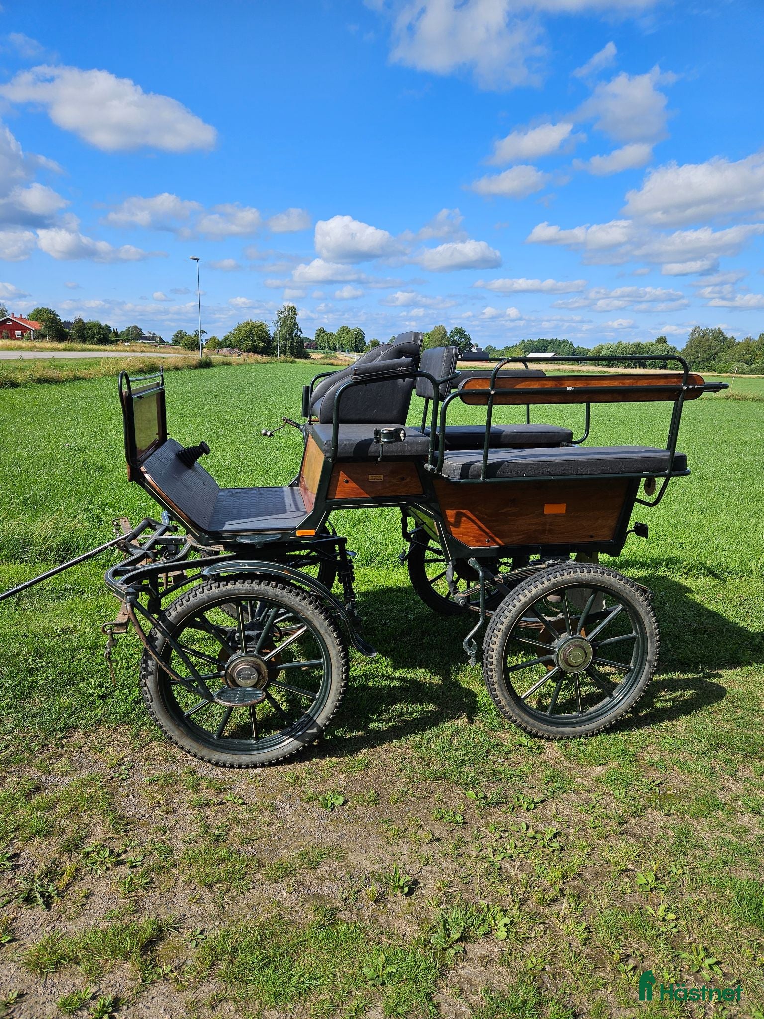 Körvagnar körning till salu: Wagonette  - Annons 3
