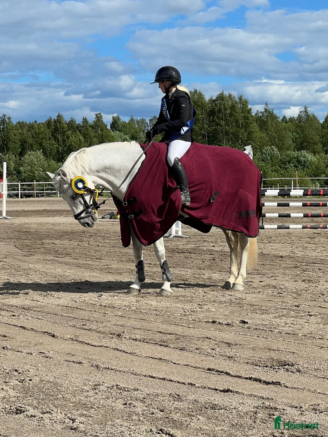 Allround hästar till salu: D-ponny med stor kapacitet och ett hjärta av guld  - Annons 2