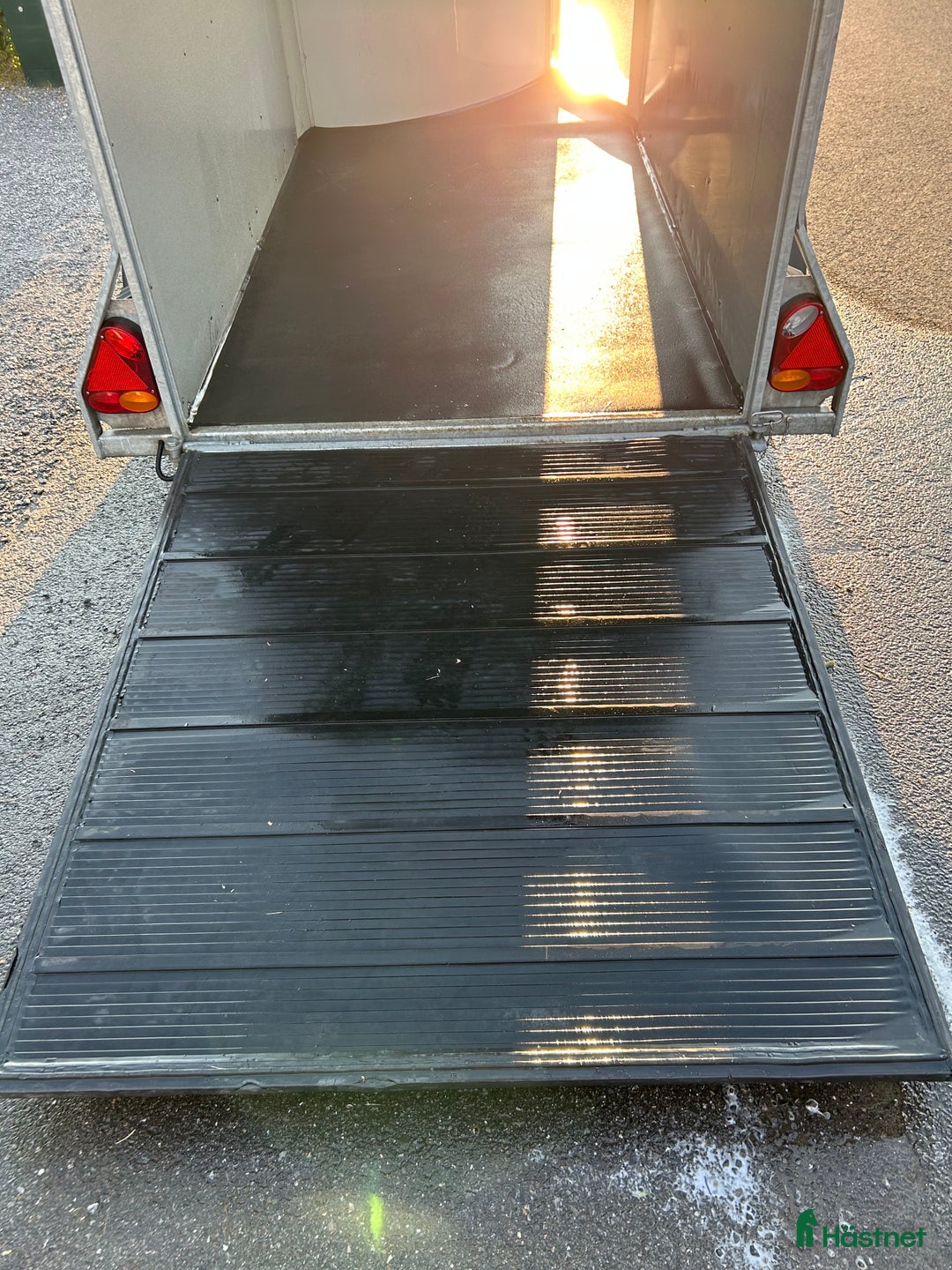 Hästtransporter  fordon & transport till salu: Cheval Liberte Gold One 1,5 hästars i Östersund - Bild 5