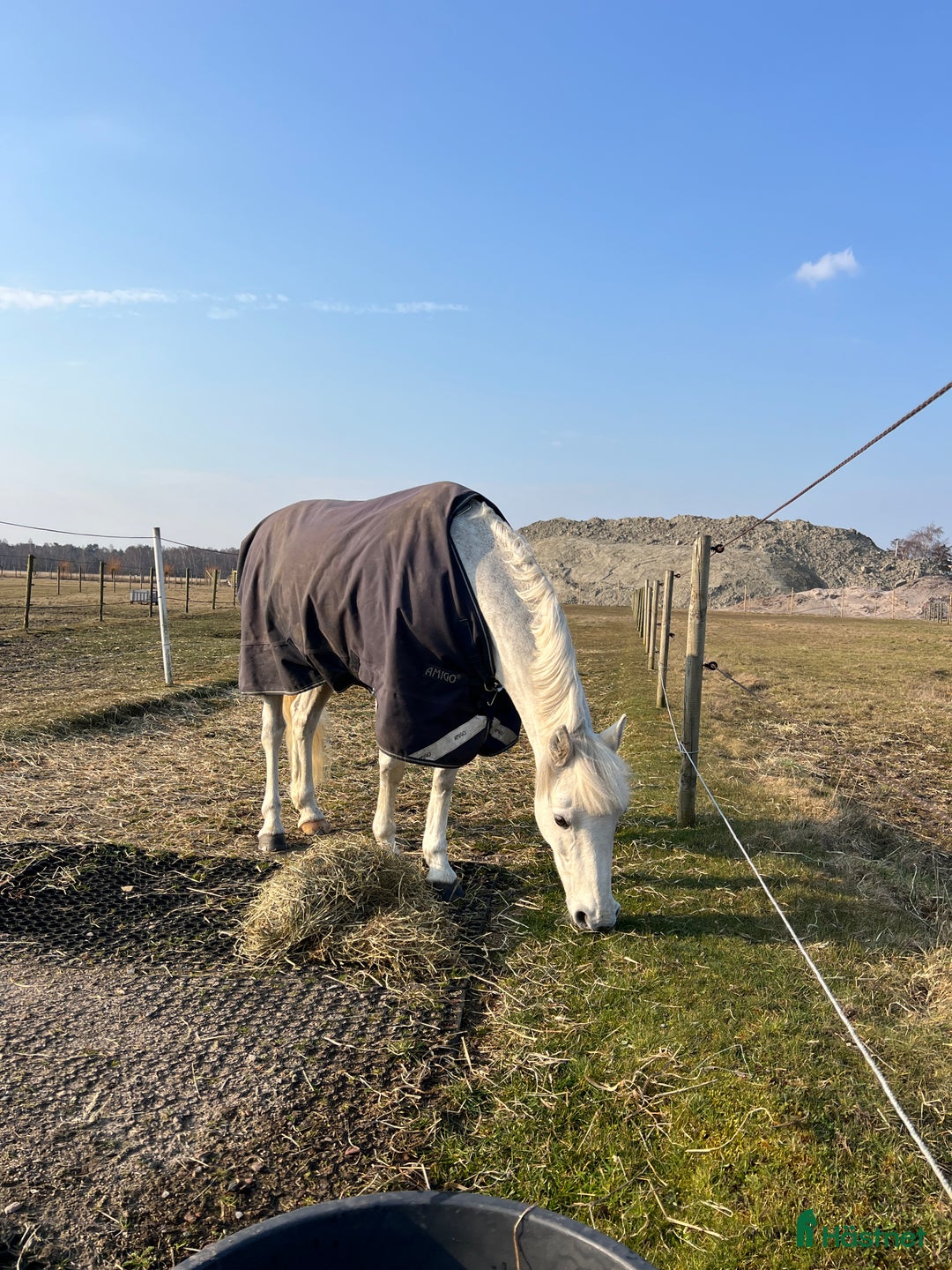  hästjobb finnes: Stallhjälp i Falsterbo - Annons 1