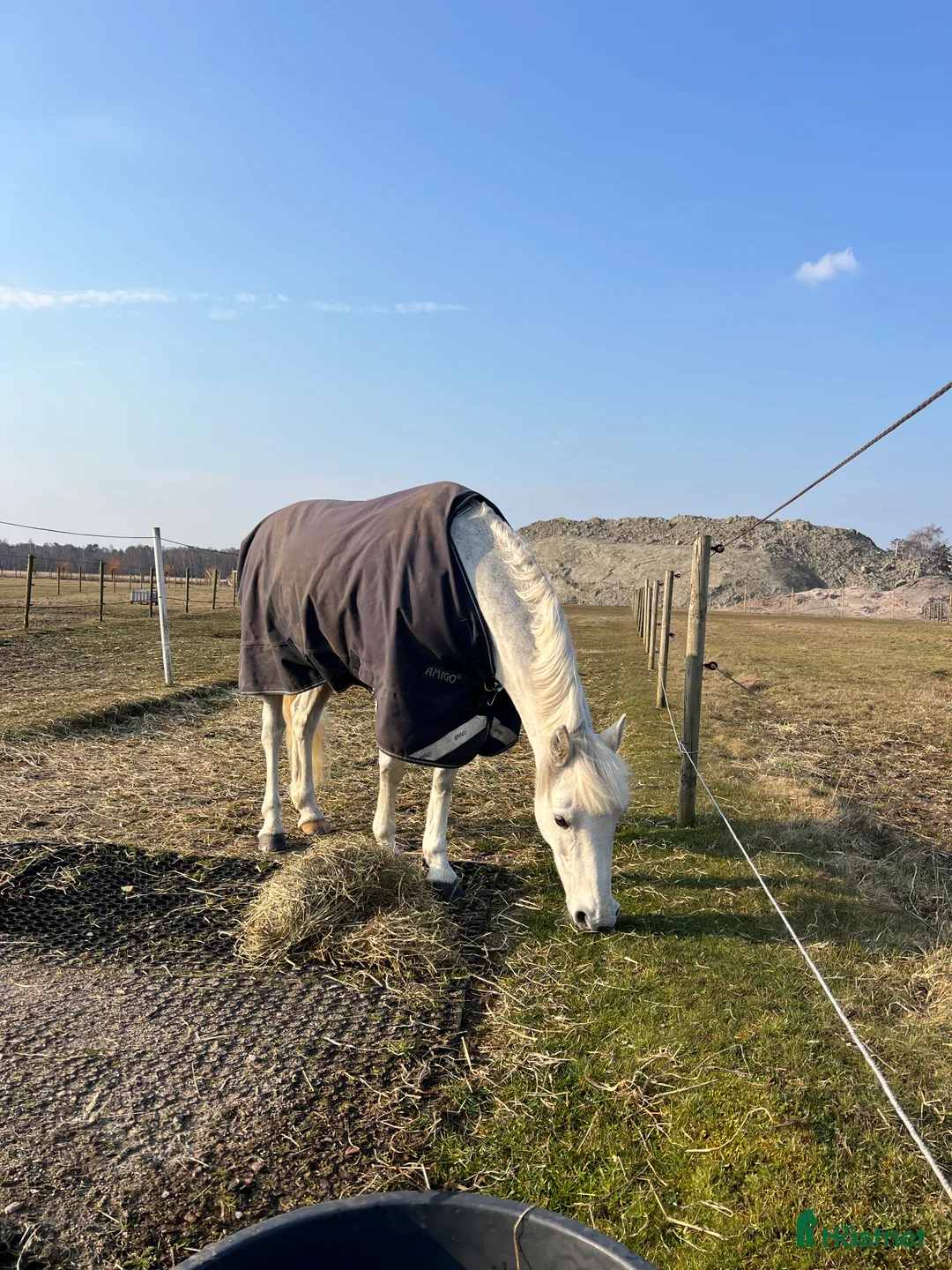  hästjobb finnes: Stallhjälp i Falsterbo - Annons 1