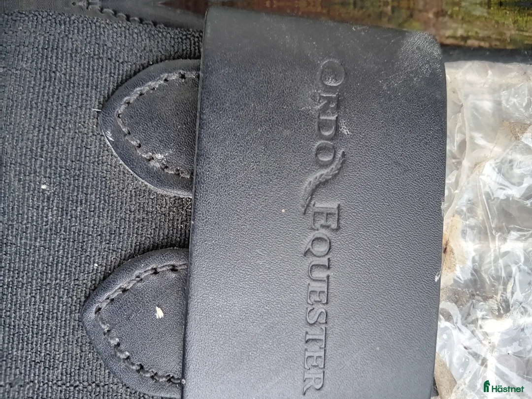 Sadeltillbehör hästutrustning till salu: Ny ORDO EQUESTER  - Annons 2