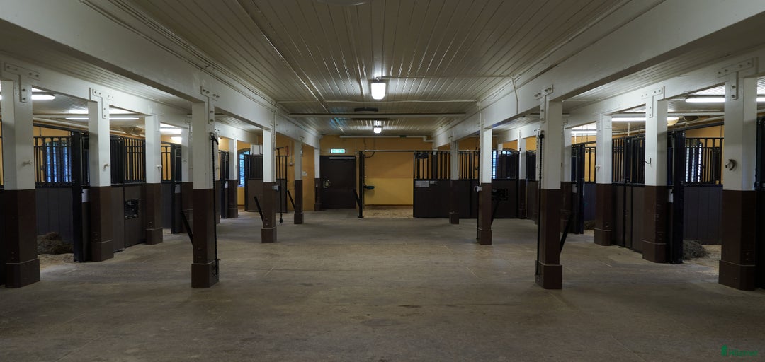 Galleribild {{count}}