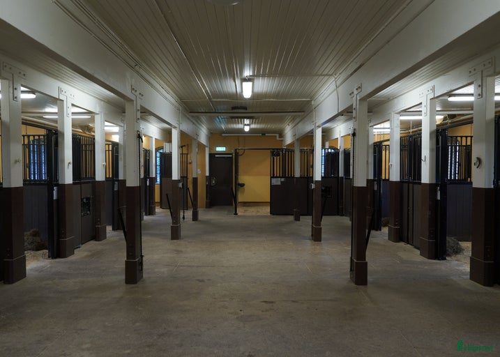 Galleribild {{count}}