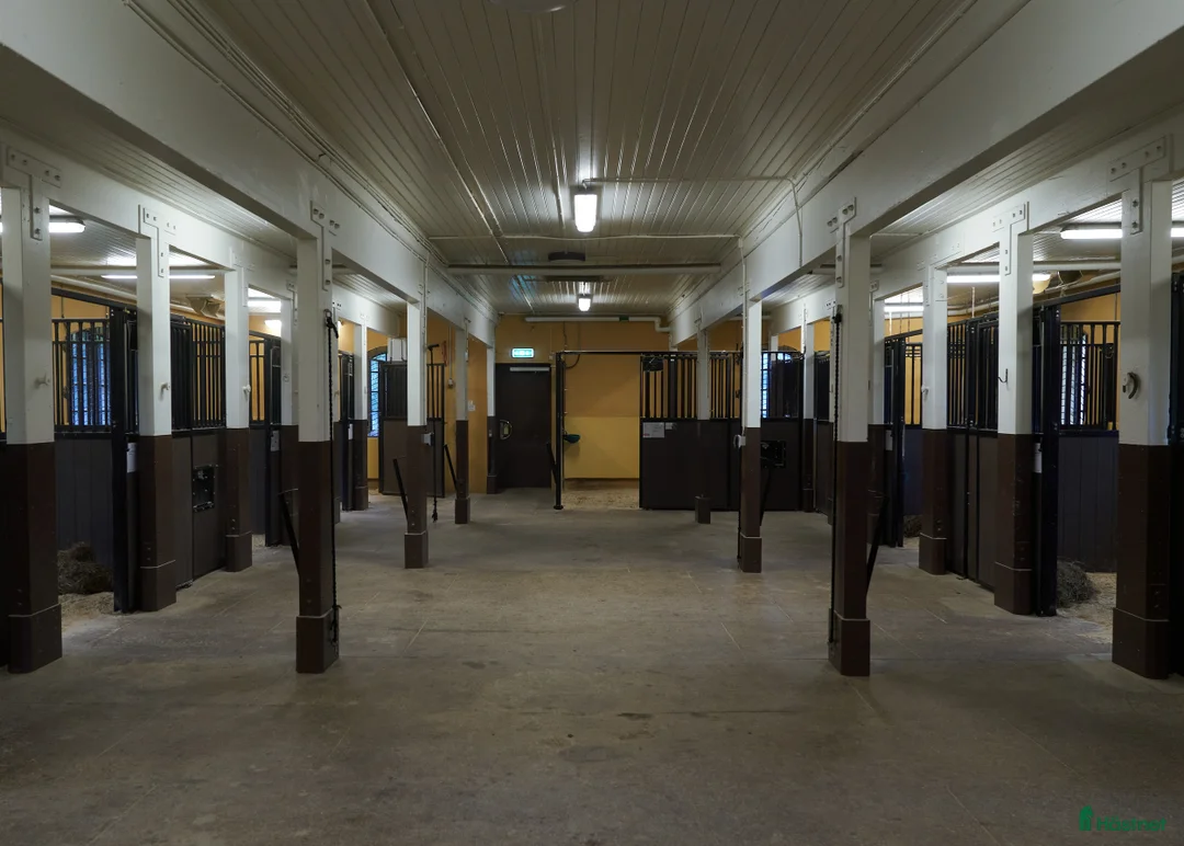 Galleribild {{count}}