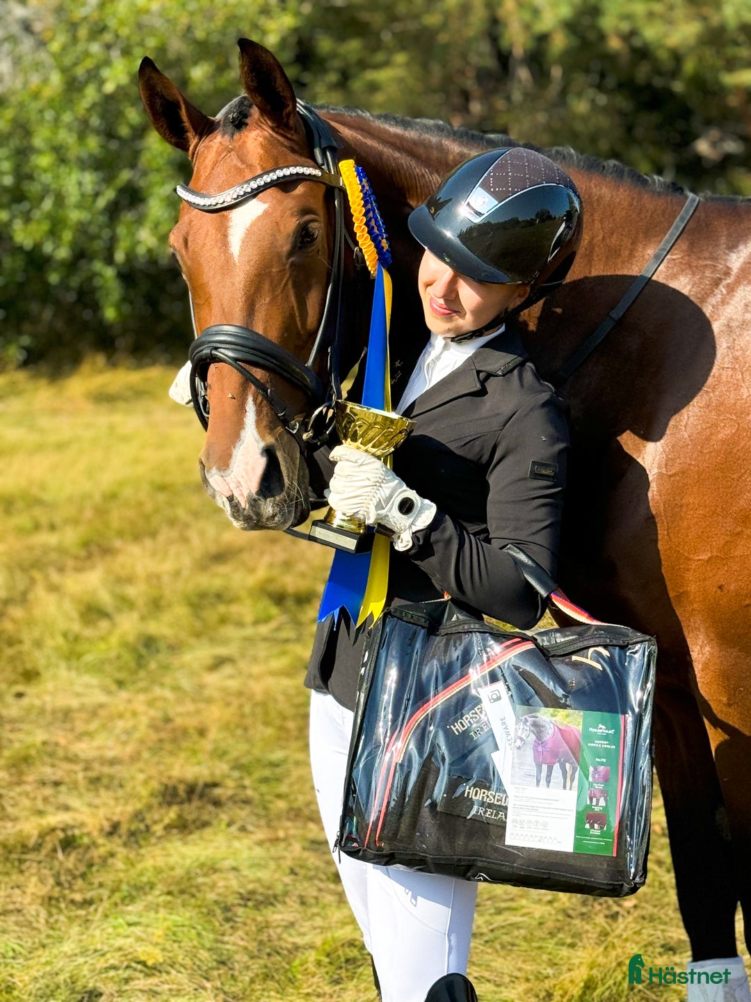 Dressyr hästar till salu: Arbetsvilligt dressyrsto  i Hofors - Bild 4