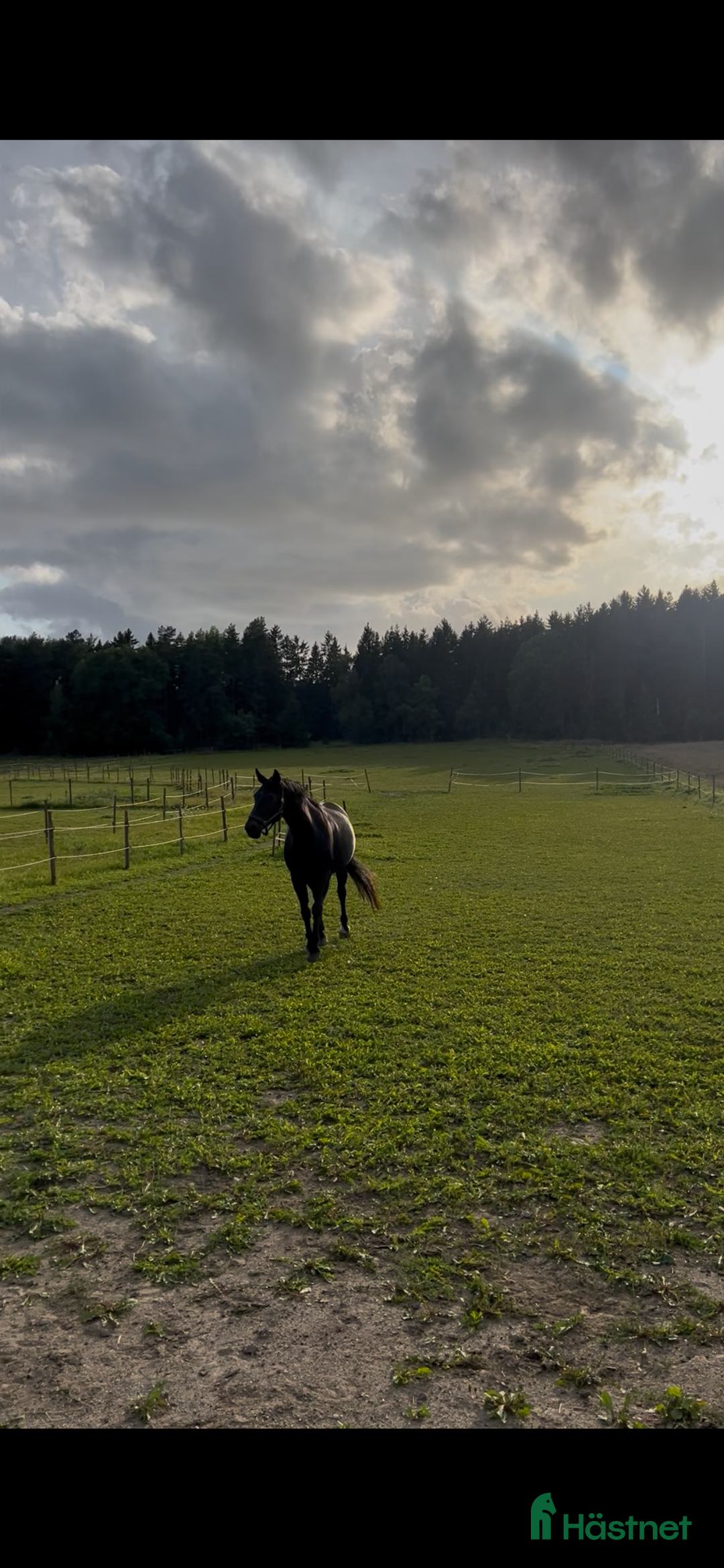  stallplats finnes: Stallplats i Norra Sthlm i Kungsängen - Annons 1
