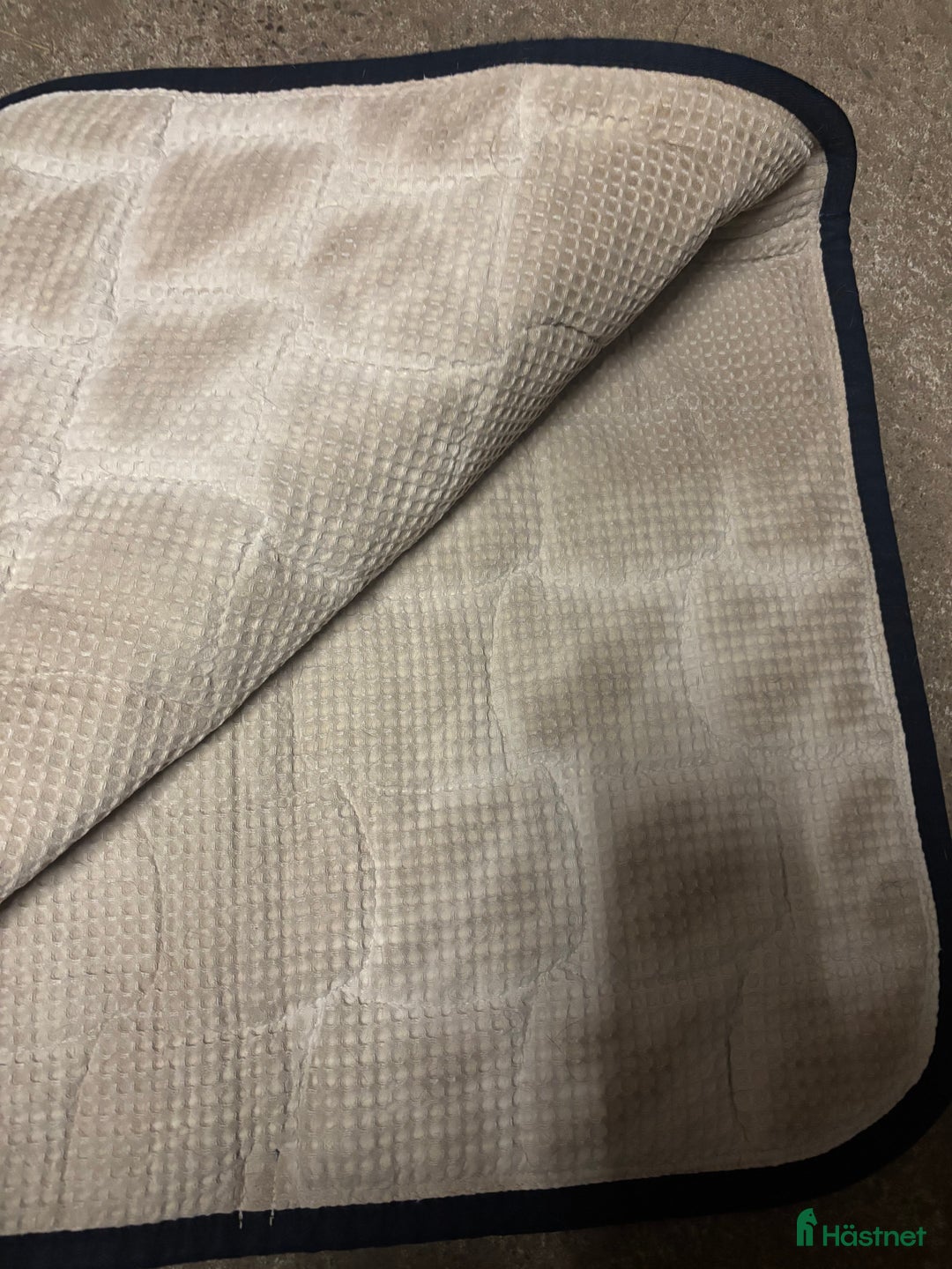 Schabrak & Vojlockar hästutrustning till salu: Schabrak  i Tomelilla - Annons 2