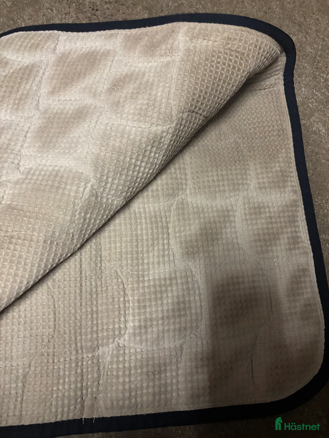 Schabrak & Vojlockar hästutrustning till salu: Schabrak  i Tomelilla - Annons 2