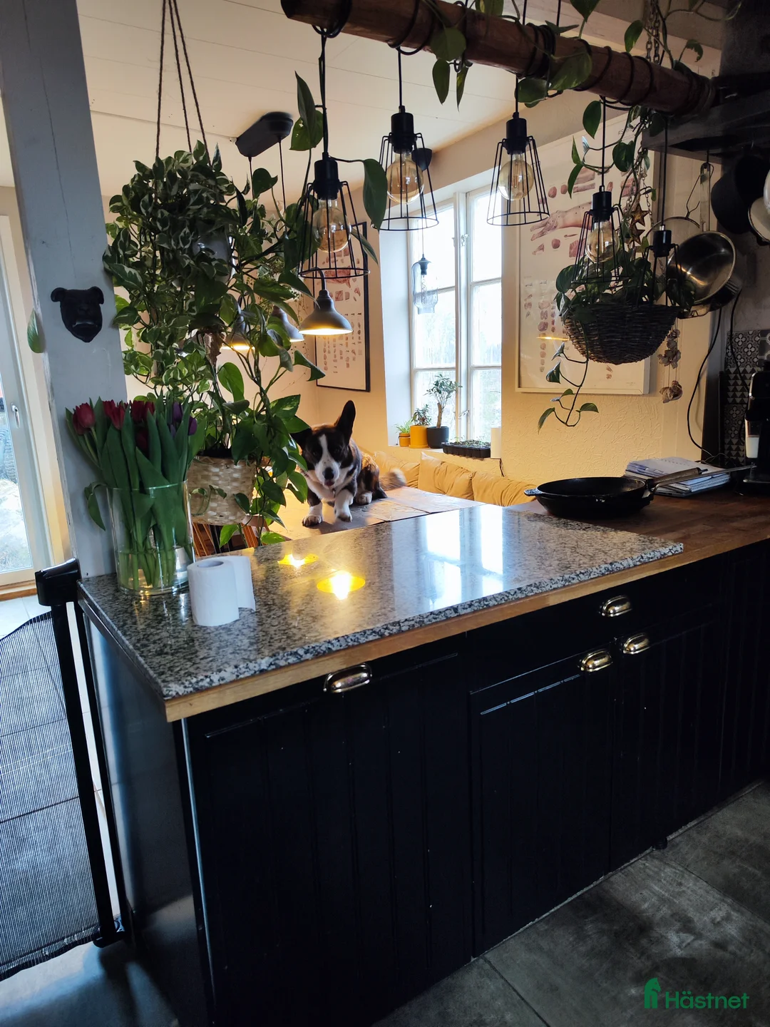  hästgårdar till salu: Mindre gård i Frövi - Annons 3