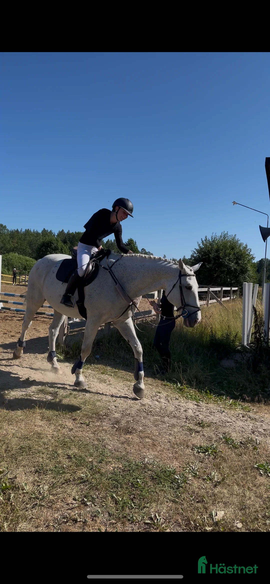 Allround hästar sökes: Söker Lyxig hobby / tävlings häst  - Annons 4