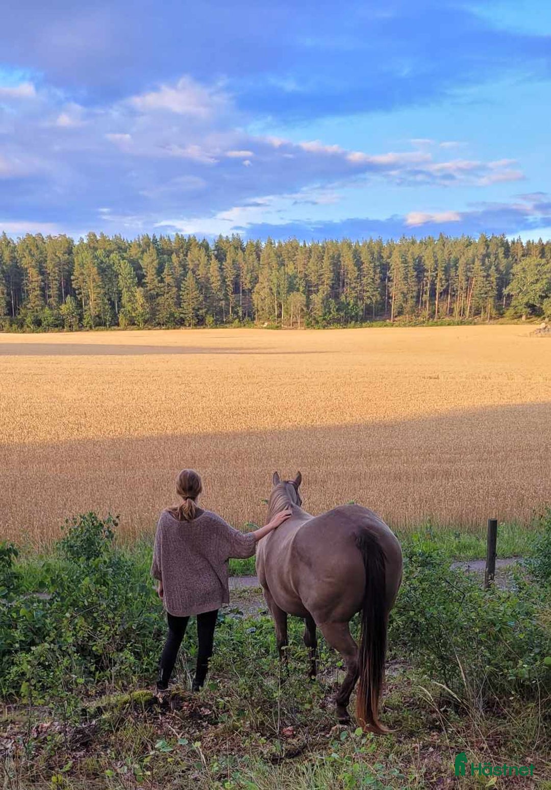 Galleribild {{count}}