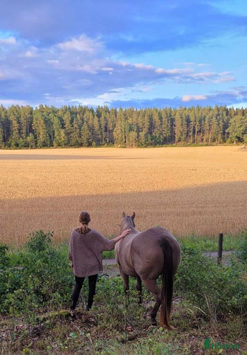 Galleribild {{count}}