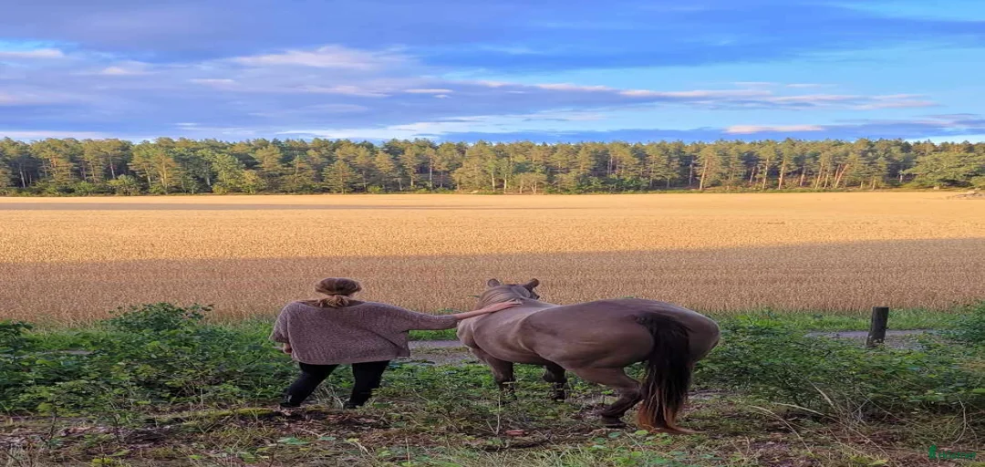 Galleribild {{count}}