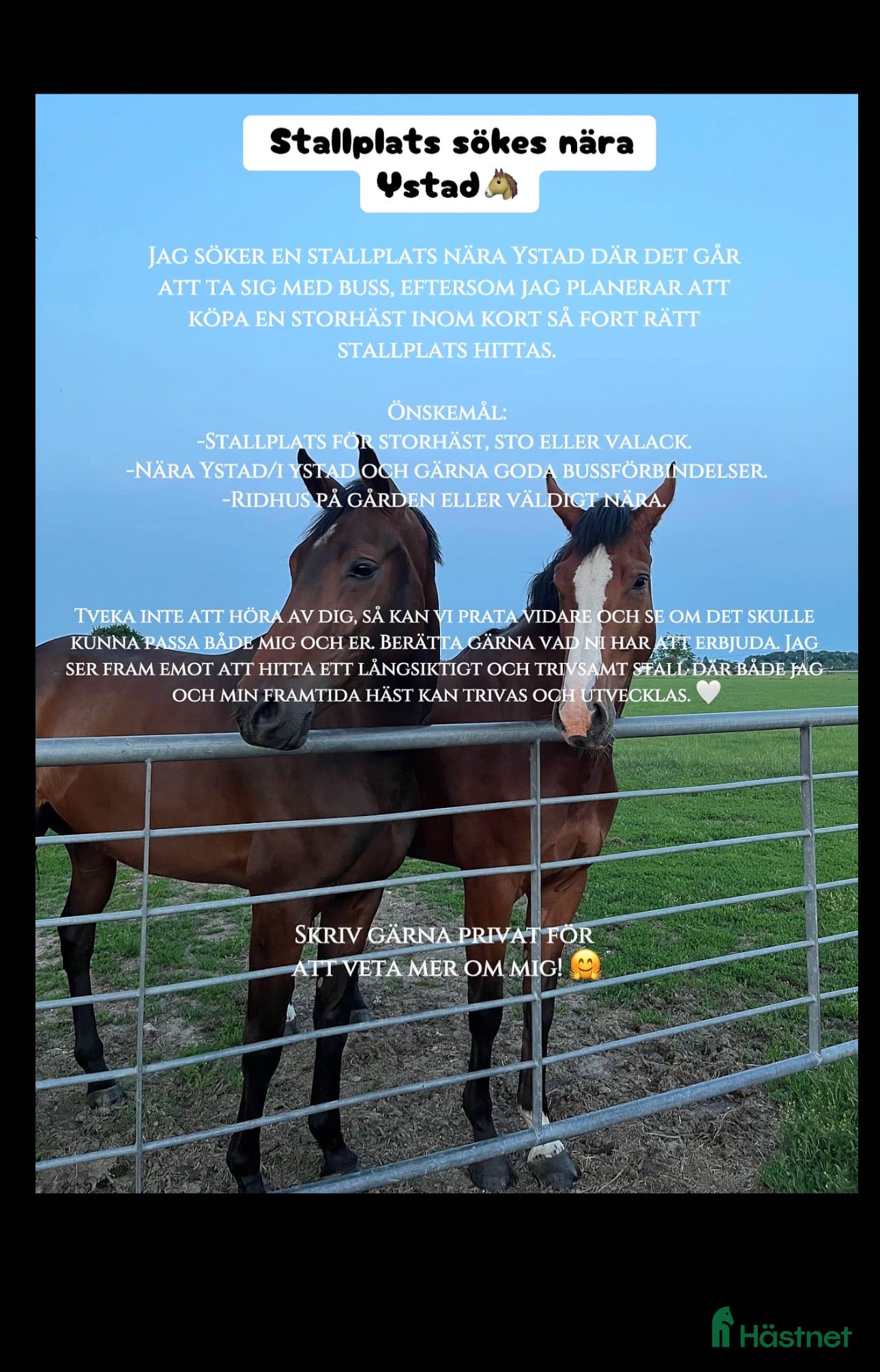  stallplats Söker stallplats runt Ystad!  - Annons 8