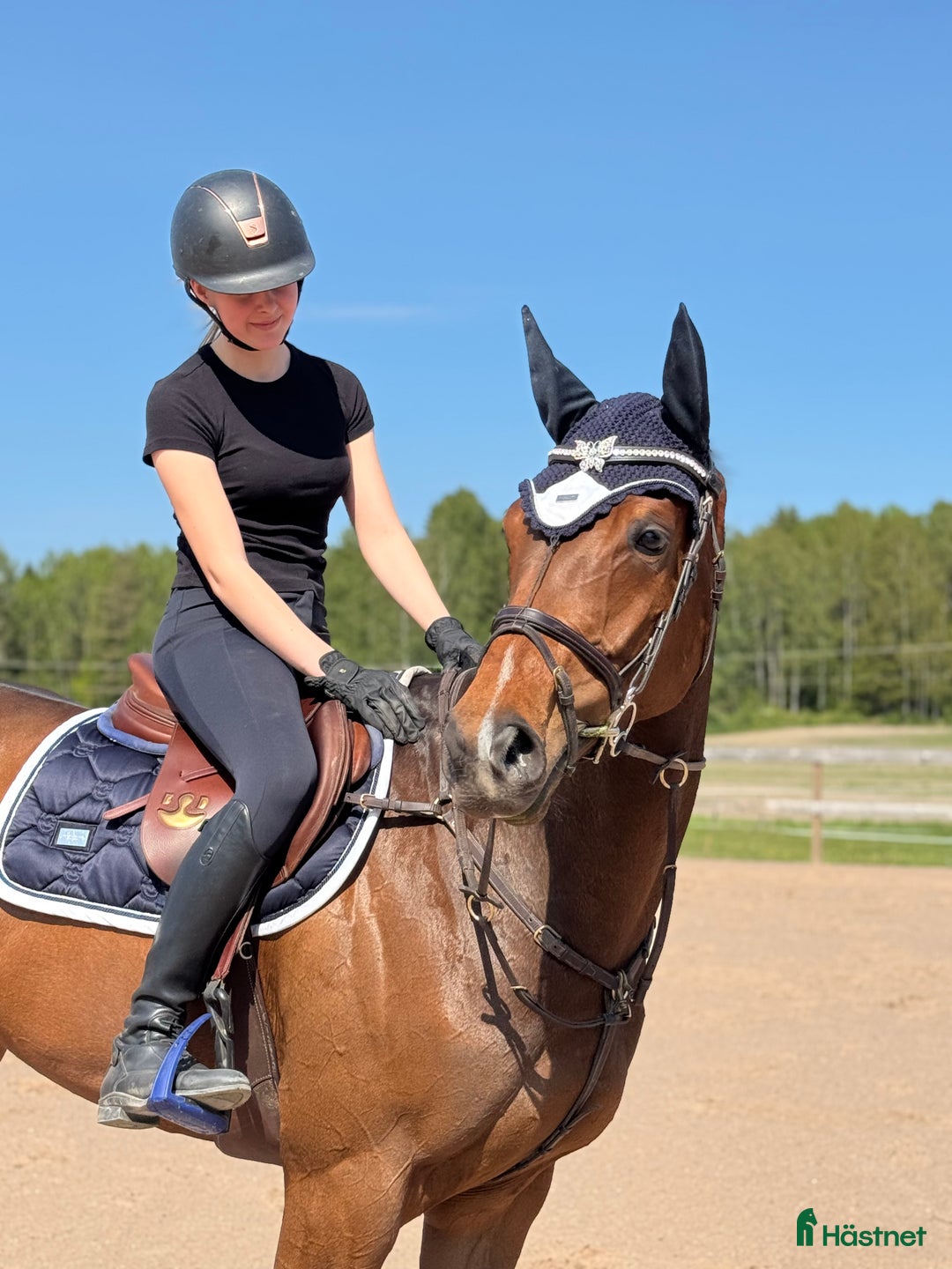 Allround hästar till salu: Flott fullblod med bra gångarter och utstrålning! i Krylbo - Bild 6