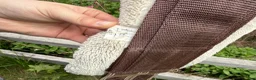 Sadeltillbehör hästutrustning till salu: Allround sadelgjord med fluff - Annons 6