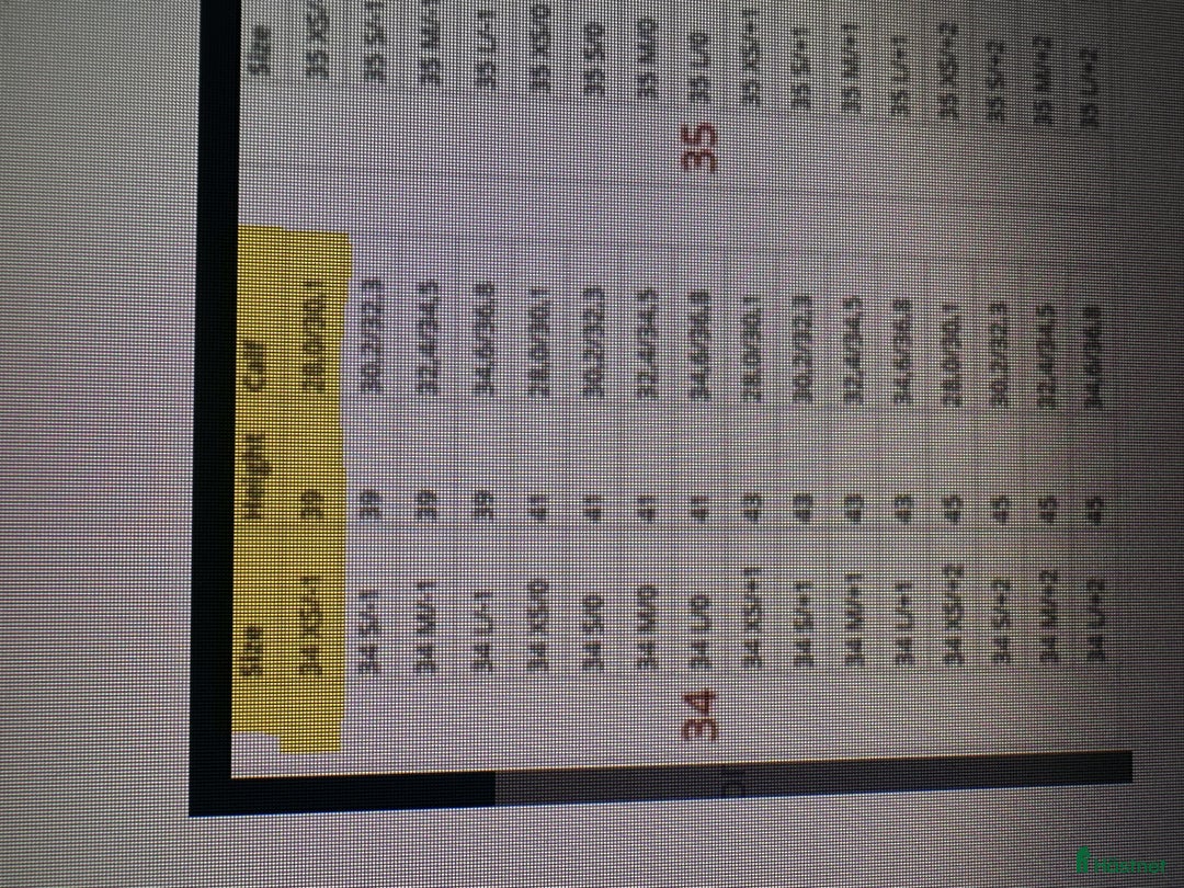 Ridstövlar ryttarutrustning till salu: Ridstövlar EGO7 stl 34 i Västerås - Annons 5