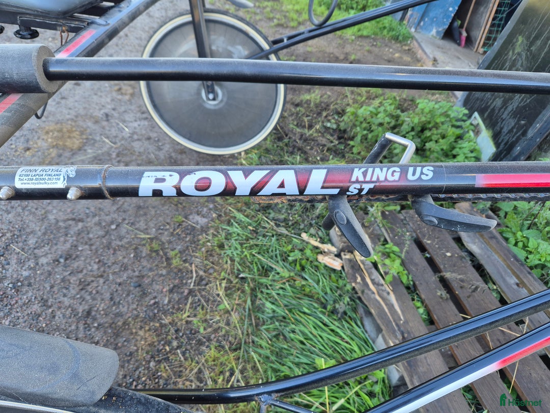 Travsulkys trav till salu: Royal King US ST  i Hallstavik - Annons 4