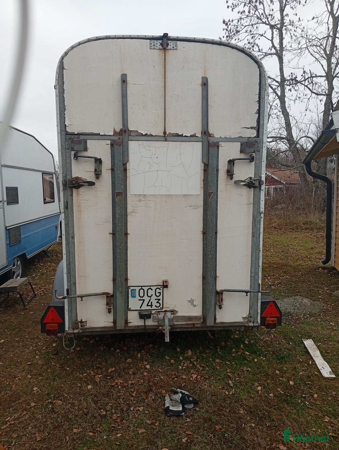 Hästtransporter  fordon & transport till salu: Hästtransport i Linköping - Annons 4