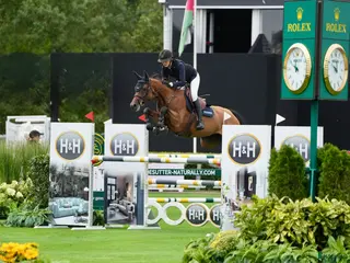 hästar 8 åring för satsande ryttare i Ekerö - Annons 3