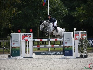 hästar i Sola kommun - Annons 17