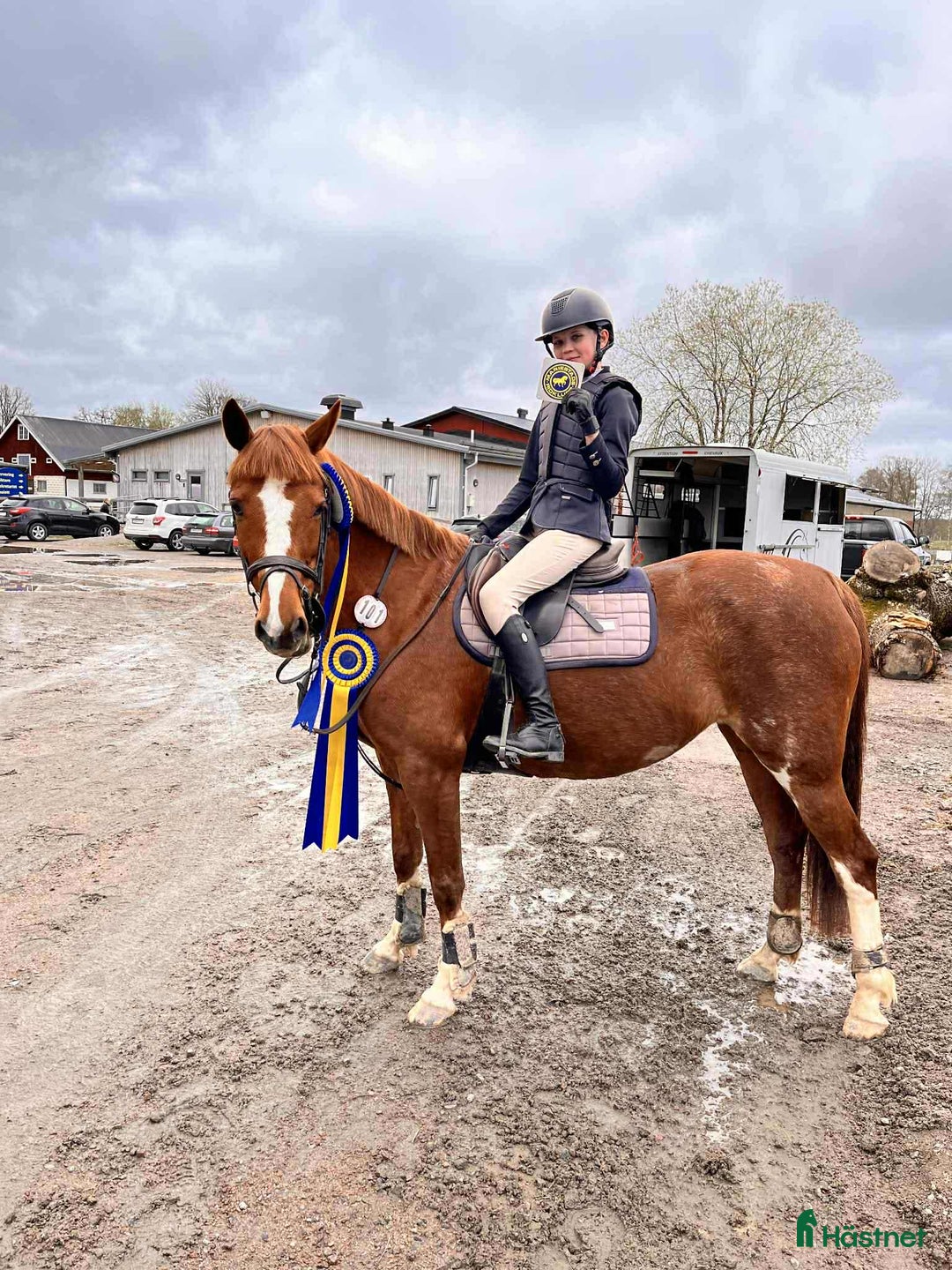 Hoppning hästar till salu: Bästa vän och tävlingskompis D-ponny i Falköping - Annons 2