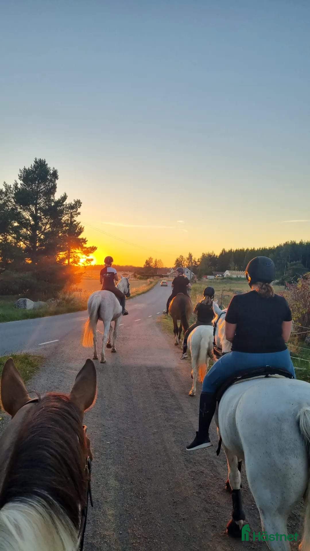  stallplats finnes: Stall Laggarbo  i Enköping - Annons 3