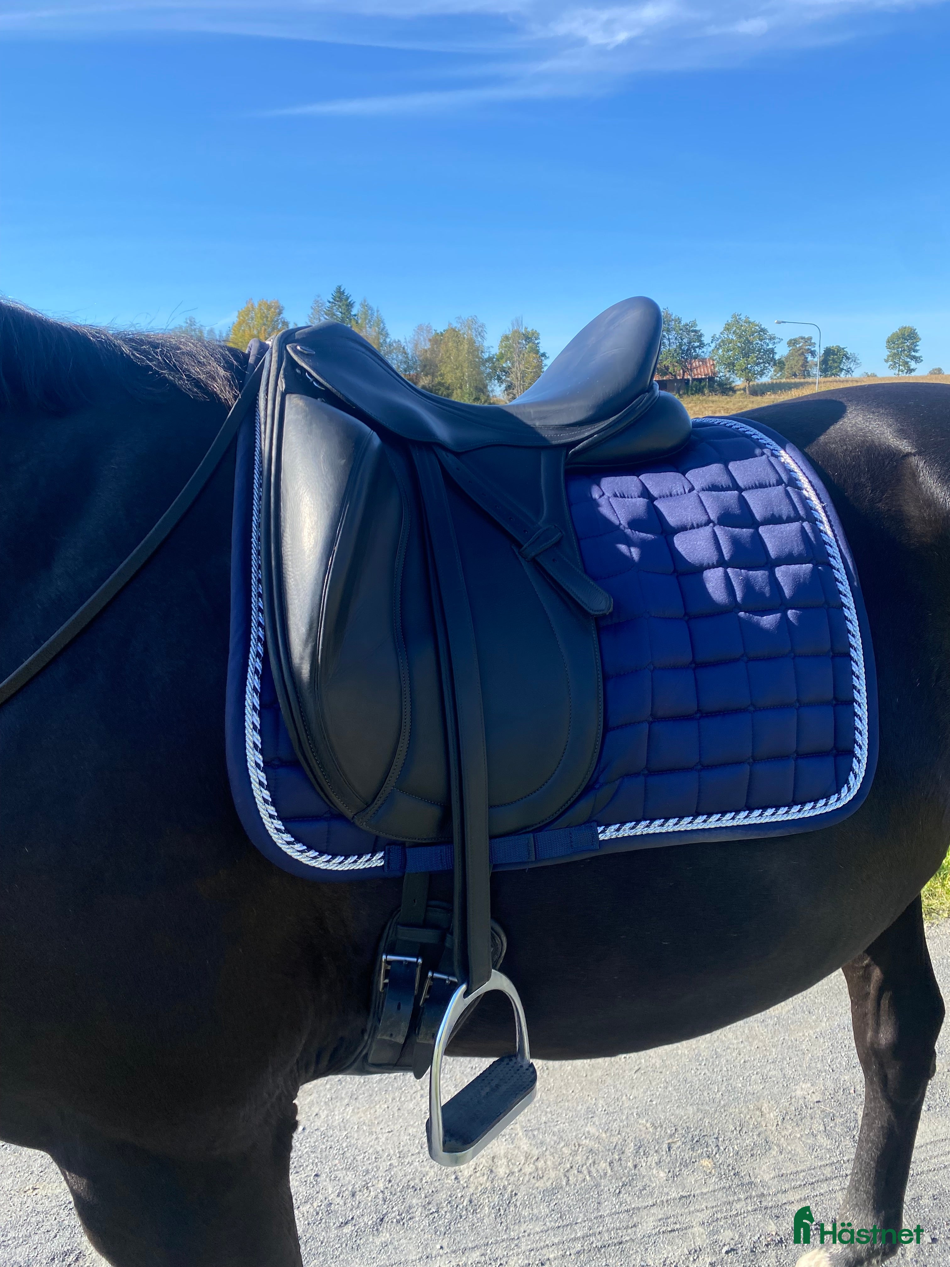 Sadlar hästutrustning till salu: PDS Carl Hester Dressyrsadel i Tenhult - Annons 4